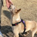 준독트레이닝센터 이미지