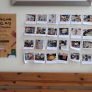 Librarian_ 이미지