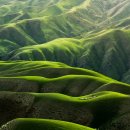 붉은오름자연휴양림 이미지