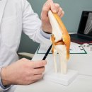 마곡베스트정형외과의원 | 방화동 야간 정형외과 무릎 통증이 반복된다면?