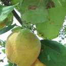 계곡휴펜션 이미지