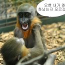 꿈꾸는 계곡 펜션 이미지