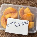 하키인의 집 | -