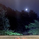 푸른온천목욕탕 이미지