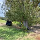 알바트로스골프장 이미지