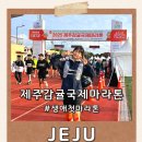 조천체육관 체육관 | 생애 첫 마라톤, 딸과 함께한 제주감마라톤 10km 완주 후기(코스, 주차, 셔틀, 물품보관소 정보)