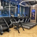 브라운 휘트니스 이미지