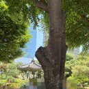 잠실근린공원(외) | 잠실역 근처 신천근린공원 후기