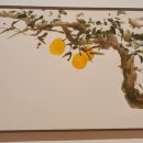 삼덕동 360-3 이미지