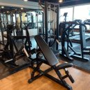 고 베어 짐 이미지