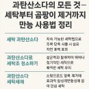 만능세탁빨래방 | 과탄산소다의 모든 것 – 세탁부터 곰팡이 제거까지 만능 사용법 정리
