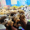 와와사격장 이미지