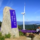 거창 감악산 들꽃 축제 이미지