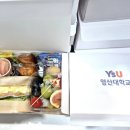 금정과일