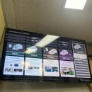 제주자동차검사소 | 제주자동차검사소 소요시간 검사비용 가격 한국교통안전공단 자동차점검받은 솔직후기