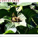 정해농장 이미지