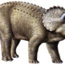 트리케라톱스-1 이미지