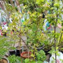 원주쇼핑 이미지