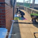 힐링도원 이미지