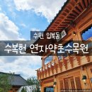 수복슈퍼 | 수원 입북동 수복헌 카페 한옥 감성 가득한 디저트 카페 후기
