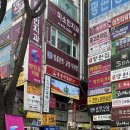 래빗온더문 이미지