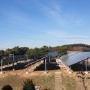 안산시민햇빛16호발전소 | 안산시민햇빛발전소 16호 - 반월배수지