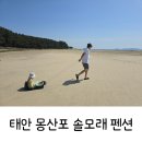 몽산포솔모래펜션