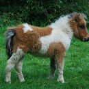 생활중국어 이미지