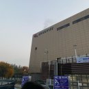 지사 | 2025년 전북특별자치도지사배 수영대회 참가후기