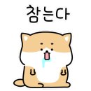 낙원양꼬치 이미지