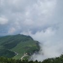 영신사슴농장 이미지