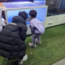 야호수산 | 원주횟집추천 대방어맛집 스끼잘나오는 어랑회수산 매장방문 내돈내산 후기