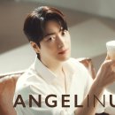 엔제리너스 이미지