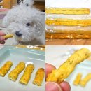 몽몽야옹 네이버블로그