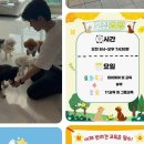 스타 반려견 교육센터 네이버블로그