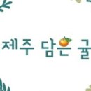 제주담은