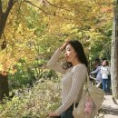 172 | 미닛뮤트 스포티 백팩 버터색 키큰녀 172 후기