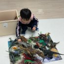 종달구경 이미지