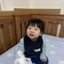 의료법인양진의료재단 성모아이들의원 네이버블로그