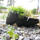 뽑기 좋은날 이미지