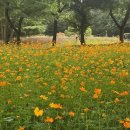 오세요 - 달성군 테크노상업로 111 | 오세요