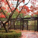 황금동경로당 이미지