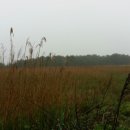 할망네민박 이미지