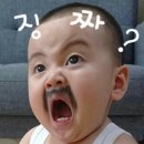 영동호프식당