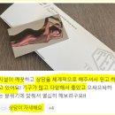 테드짐 네이버블로그
