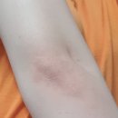 아시아드내과의원 | 210713 화이자 2차접종(인천아시아드경기장 게이트2번), 쿠브(coov), 카카오톡 QR