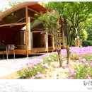 포시즌주유소 이미지