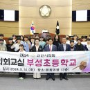 부성초 이미지