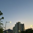 진현축산 네이버블로그