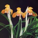 (주)금화 이미지